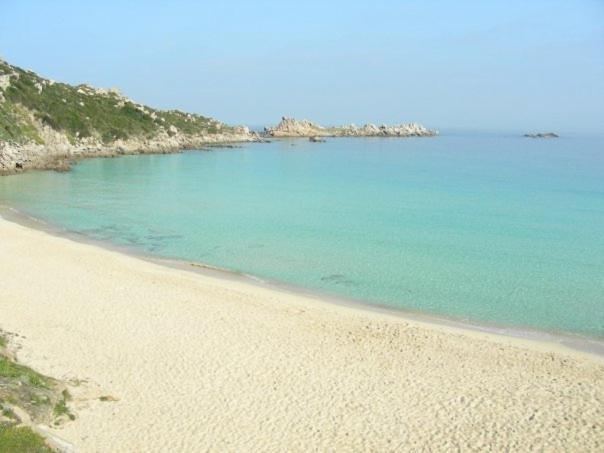 Gente Di Mare - Case Vacanza Santa Teresa Gallura Ngoại thất bức ảnh